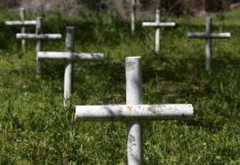 reform-school-abuse-nelson