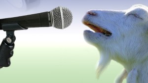 goat-singing