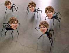 palin-spider