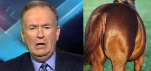 billy-oreilly-is-a-horses-ass