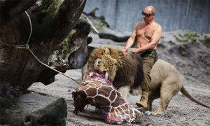putin-lion