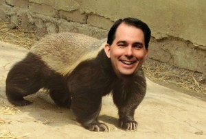Scott-Walker-Honey-badger-591x400
