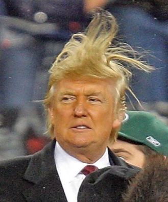 donald-trump-bad-hair-photo-1